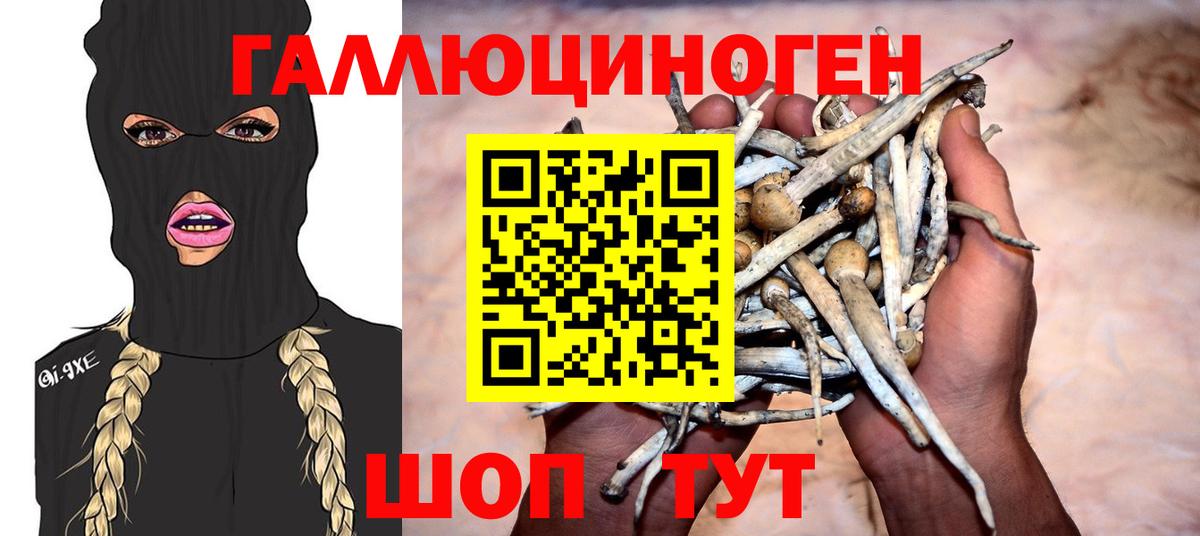 Галлюциногенные грибы Magic Shrooms Нижний Тагил