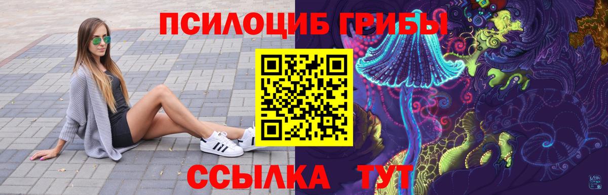 Псилоцибиновые грибы мицелий  купить наркоту  Нижний Тагил  Вход с VPN 